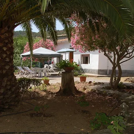 Quadrilocale *