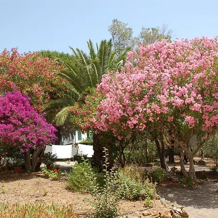 Quadrilocale * Rio Marina