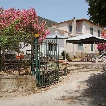 Quadrilocale *