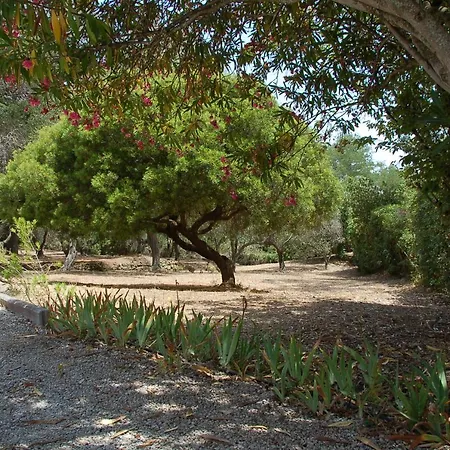 Quadrilocale